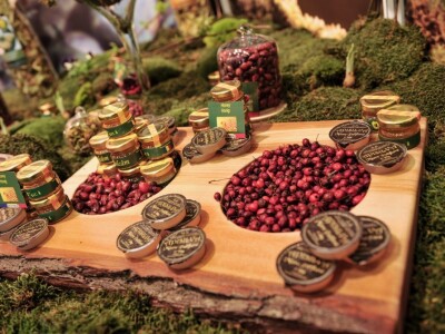 Fruit Logistica 2019