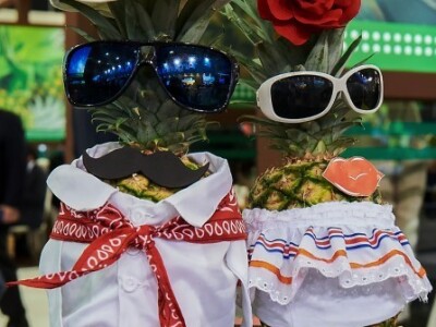 Fruit Logistica 2019