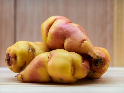 Fruit Logistica 2019