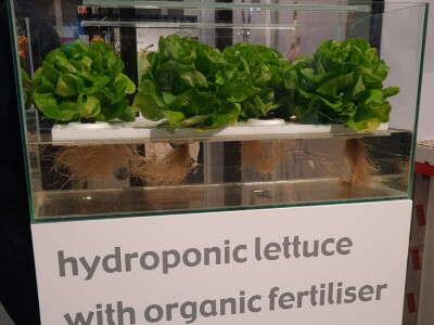 Fruit Logistica 2022