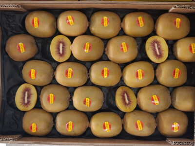 Fruit Logistica 2022