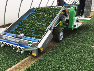 Fruit Logistika 2019