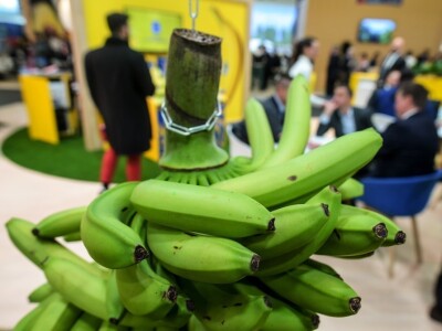 Fruit Logistika 2019