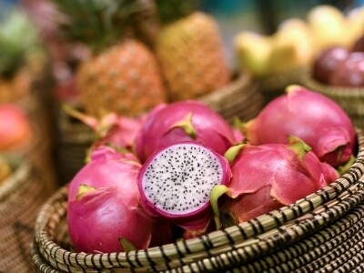 Fruit Logistika 2019