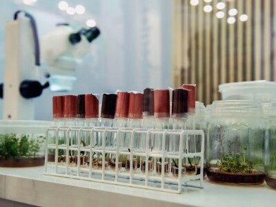 Fruit Logistika 2019