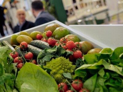 Fruit Logistika 2019