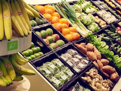 Fruit Logistika 2019