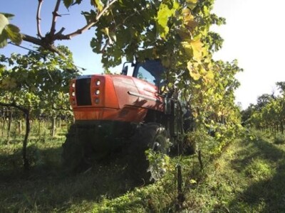 Traktor Same Frutteto F/S/V