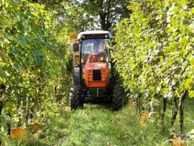 Traktor Same Frutteto F/S/V