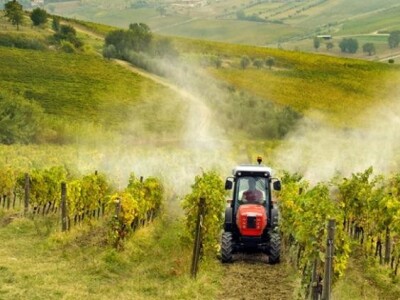 Traktor Same Frutteto F/S/V