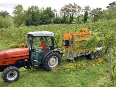 Traktor Same Frutteto F/S/V