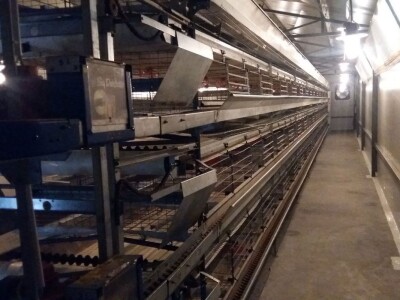 Fudbalski sudija Ljubo Aničić sva jaja uspije da proda Fudbalski sudija Ljubo Aničić sva jaja uspije da proda