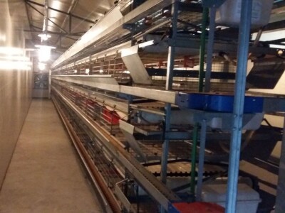 Fudbalski sudija Ljubo Aničić sva jaja uspije da proda Fudbalski sudija Ljubo Aničić sva jaja uspije da proda