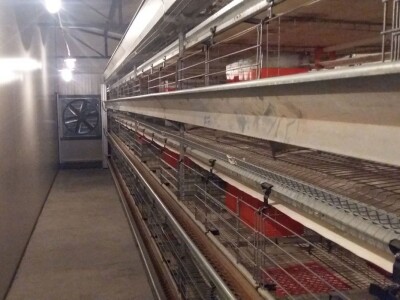 Fudbalski sudija Ljubo Aničić sva jaja uspije da proda Fudbalski sudija Ljubo Aničić sva jaja uspije da proda