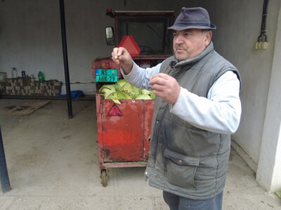 Futoški kupus porodice Gligorić