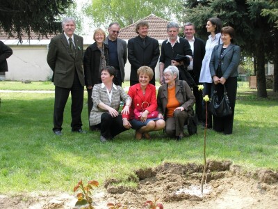 Lipa u školi u Tavankutu