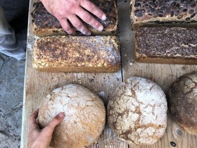 Galerija Demetra Galerija Demetra