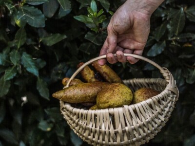 Galerija Demetra Galerija Demetra