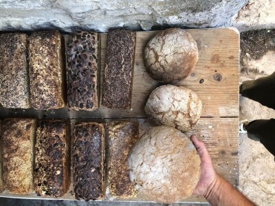 Galerija Demetra Galerija Demetra