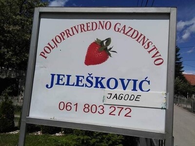 Asad Jelešković: Uzgoj jagode je veoma isplativ