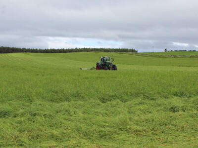 Garguston Farm, Muir of Ord, Škotska
