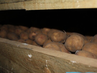 Garguston Farm, Muir of Ord, Škotska