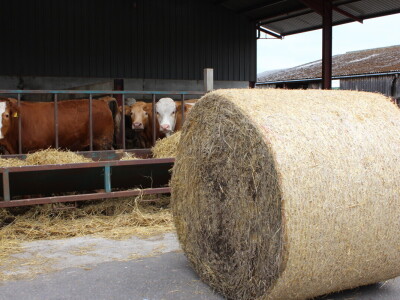 Garguston Farm, Muir of Ord, Škotska