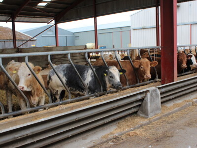 Garguston Farm, Muir of Ord, Škotska