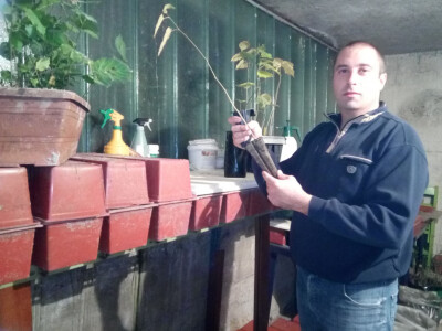 Davor Gašpar sa mikoriziranom sadnicom