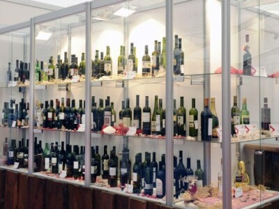 Gast Split 2013. Gast Split 2013.