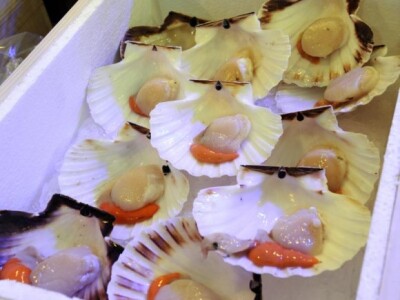 Gast Split 2013. Gast Split 2013.