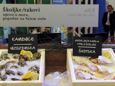 Gast Split 2013. Gast Split 2013.