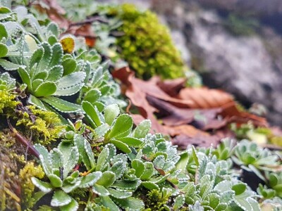 Gastro turizam u Gorskom kotaru