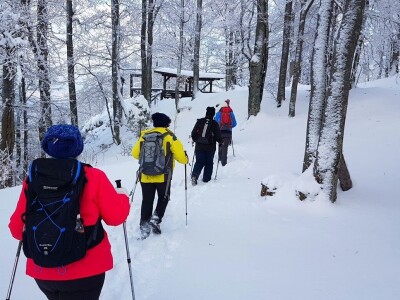 Gastro turizam u Gorskom kotaru