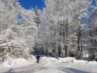 Gastro turizam u Gorskom kotaru