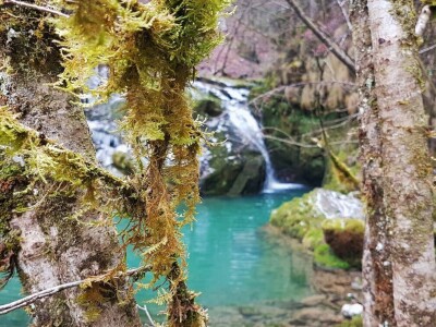 Gastro turizam u Gorskom kotaru