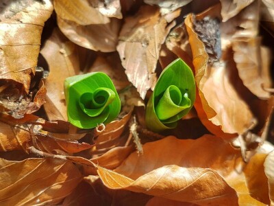 Gastro turizam u Gorskom kotaru