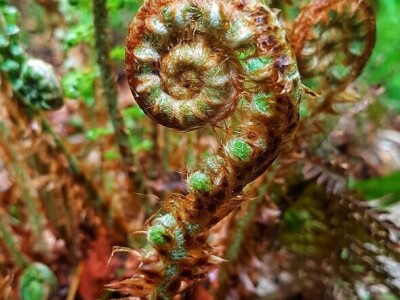 Gastro turizam u Gorskom kotaru