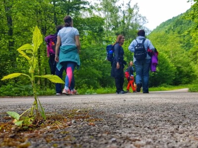 Gastro turizam u Gorskom kotaru