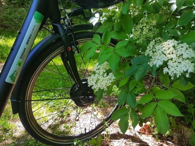 Gastro turizam u Gorskom kotaru