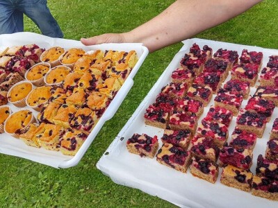 Gastro turizam u Gorskom kotaru