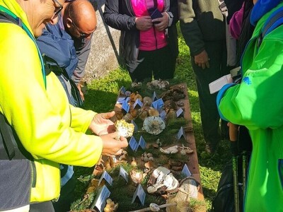 Gastro turizam u Gorskom kotaru