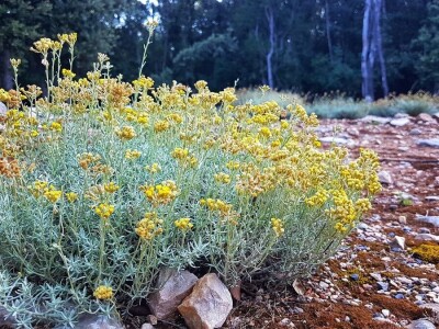 Gastro turizam u Gorskom kotaru