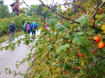 Gastro turizam u Gorskom kotaru