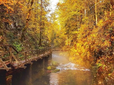 Gastro turizam u Gorskom kotaru