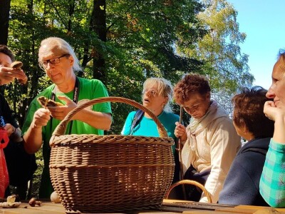 Gastro turizam u Gorskom kotaru