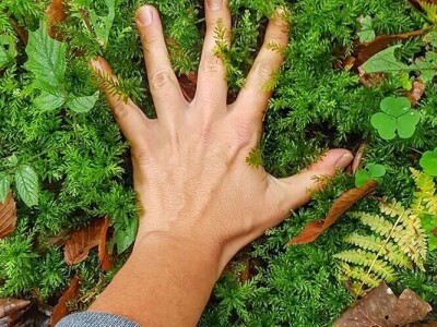 Gastro turizam u Gorskom kotaru