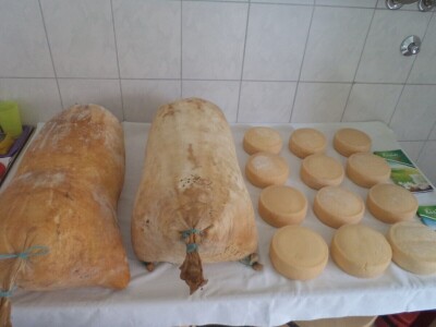 Gazdinstvo Kisin: Domaća hrana i seoski način života privlačni turistima