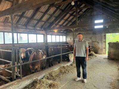 Gazdinstvo Nekšanović - tov junadi, žetva suncokreta