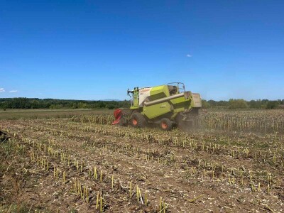 Gazdinstvo Nekšanović - tov junadi, žetva suncokreta